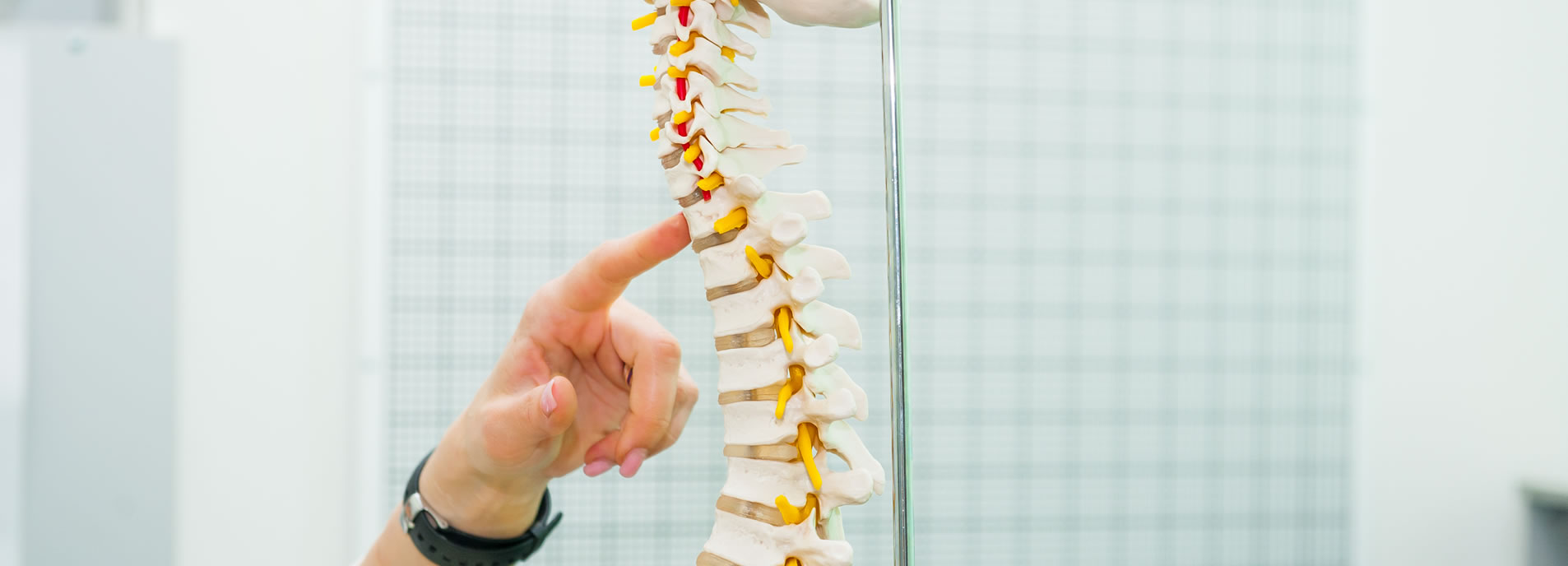 chiropractic-spine